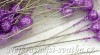 Špendlík lila glitery