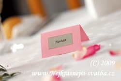 Jmenovka růžová se stříbrným středem