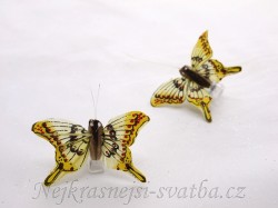 Motýl jemně žlutý Otakárek