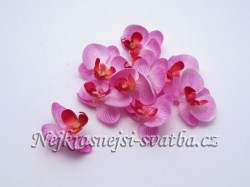 Orchidej růžová