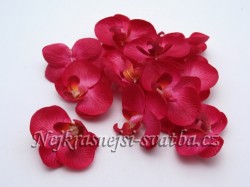 Orchidej sytě růžová