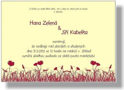 Svatební oznámení Louka bordó