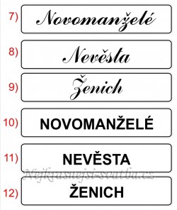 Svatební SPZ - komplet bez obrázku