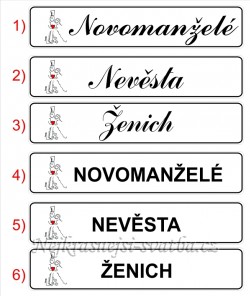 Svatební SPZ - komplet s obrázkem