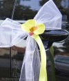 Svatební mašle na auta Orchidej